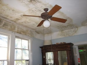 Property manager Charleston shows water damage