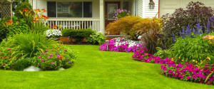 Your rental home in Charleston can attract more interest with the right lawn and landscaping.