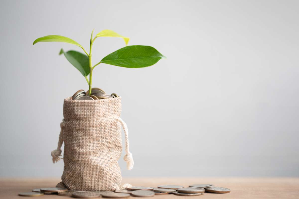 Coins in a bag of money with a plant growing from the top, rental management companies concept