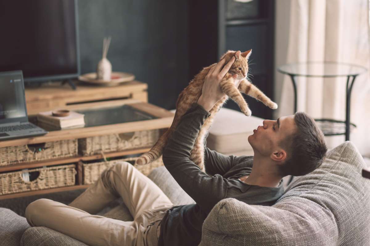 Man playing with a cat, property manager screening tenants and pets concept