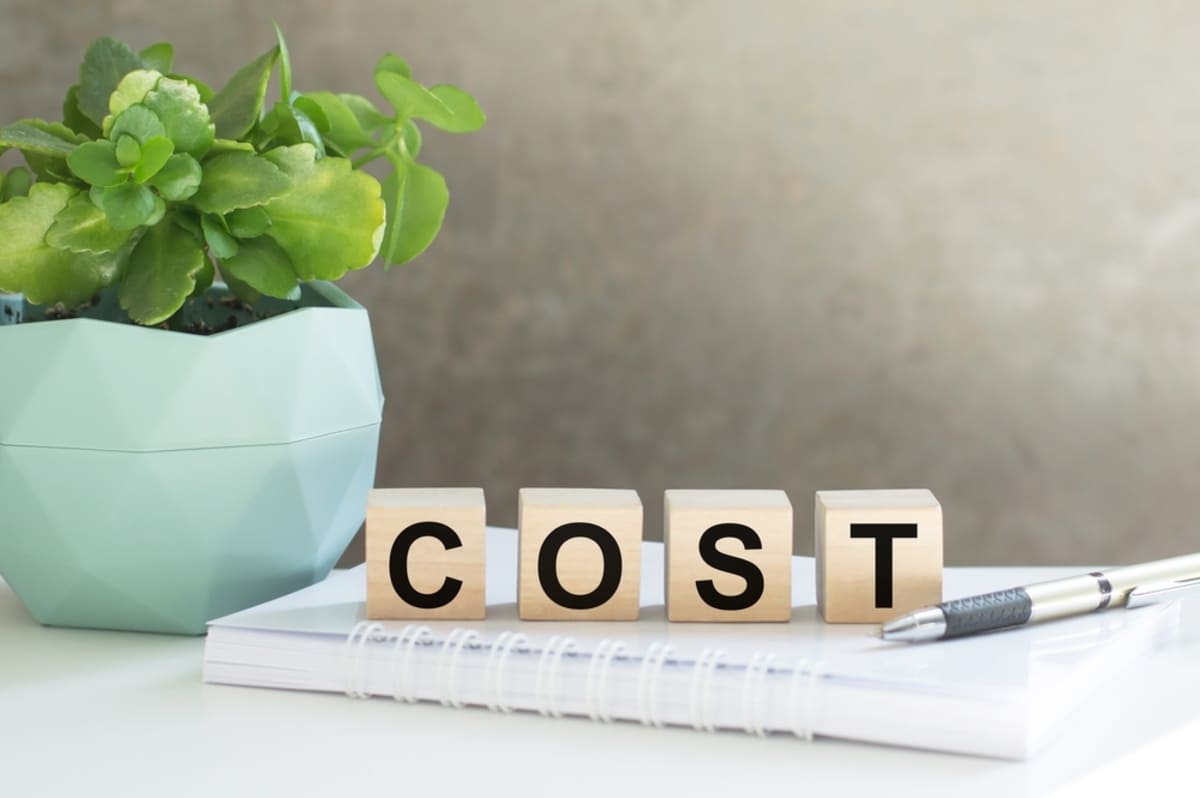 The word cost spelled out with block letters