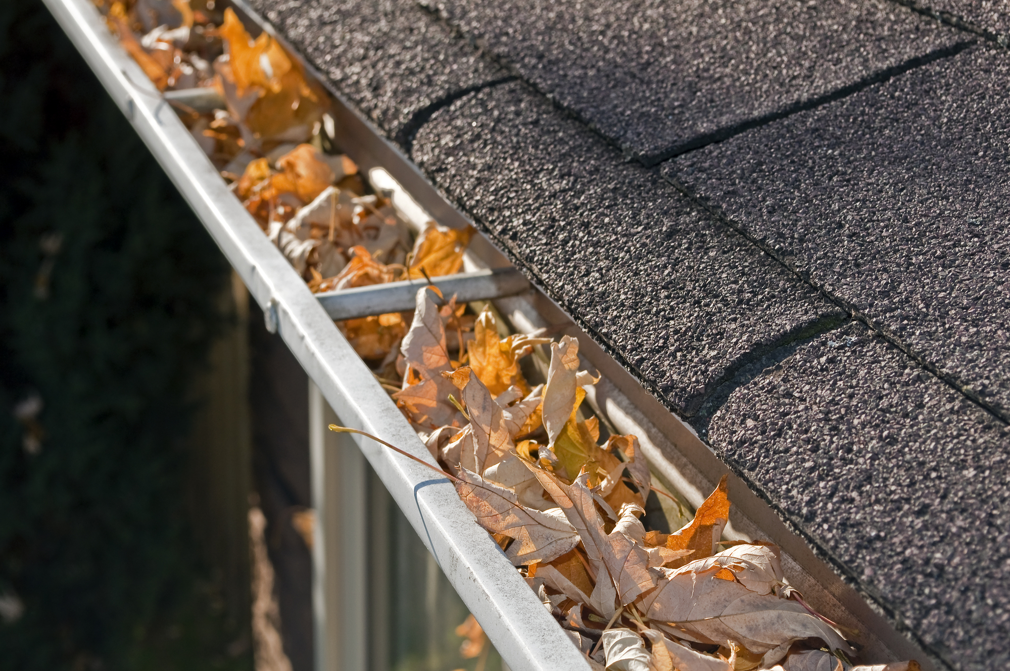 Leaves in a roof gutter, routine maintenance concept.  - featured_image